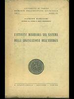 L' attività mineraria nel sistema della legislazione dell'energia