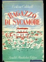 Ragazzo di Sycamore