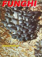 Funghi n.4 4 Sistematica