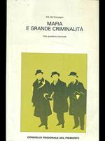 Mafia e grande criminalità