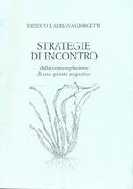 Strategie Di Incontro