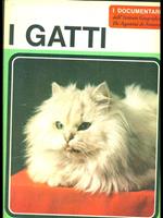 I Gatti