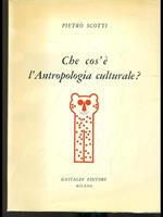 Che cos'é l'antropologia culturale