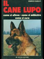 Il cane lupo