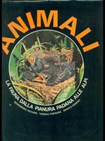 Animali