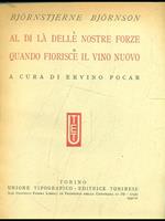 Al di là delle nostre forze. Quando fiorisce il vino nuovo