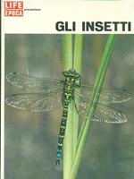 Gli insetti