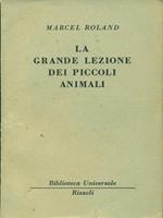 La grande lezione dei piccoli animali