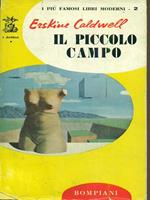 Il piccolo campo