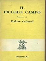 Il piccolo campo