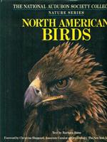 North american birds