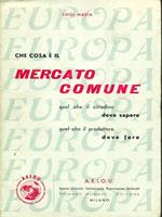 Che cosa é il mercato comune