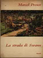 La strada di Swann