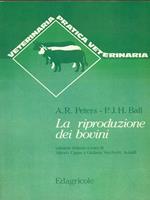 La riproduzione dei bovini