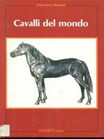 Cavalli del mondo