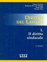 Diritto del lavoro. I codici