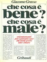 Che cosa é bene? Che cosa é male?