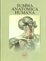 Summa anatomica Humana