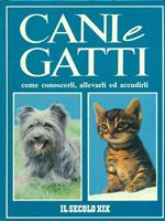 Cani e gatti