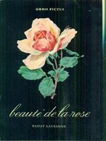 Beautè de la rose