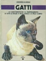 Gatti