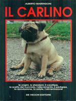 Il carlino