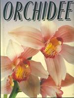 Orchidee