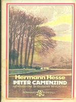 Peter Camenzind