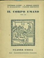 Il corpo umano II