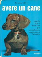 Avere un cane