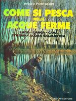 Come si pesca nelle acque ferme