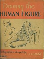 Drawing the Human Figure