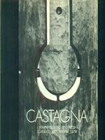 Castagna rimini centro storico Luglio/settembre 1978