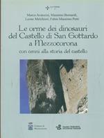 Le orme dei dinosauri del castello di San Gottardo a Mezzocorona