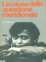 Le cause della questione meridionale