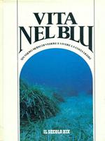 Vita nel blu