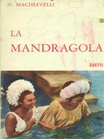 mandragola