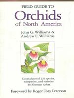 orchids of north america
