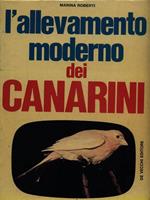 L' allevamento moderno dei Canarini