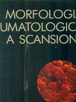 Morfologia reumatologica a scansione. lingua italiana