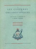 Les cultures organotypiques
