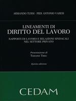 Lineamenti di diritto del lavoro. Rapporti di lavoro e relazioni sindacali nel settore privato