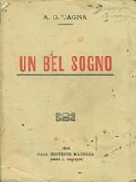 Un bel sogno