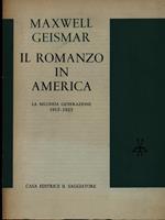 Il romanzo in America