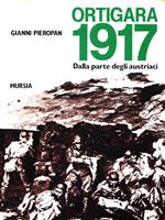 Ortigara 1917. Dalla parte degli austriaci