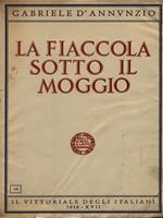 La fiaccola sotto il moggio