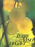 Terre & Vino di Gavi