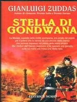 Stella di Gondwana