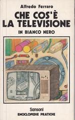 Che cos'è la televisione