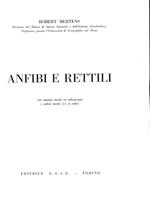 Anfibi e rettili